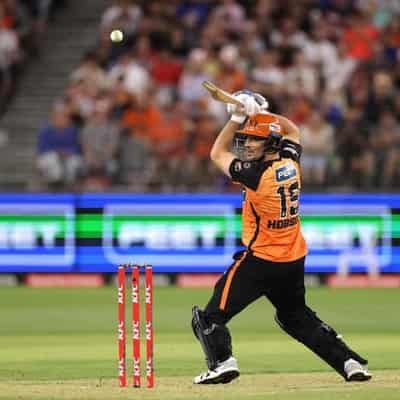 Johnson's 4-20 not enough for Heat against Scorchers