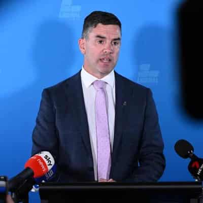 Libs Battin down the hatches as leader outlines vision