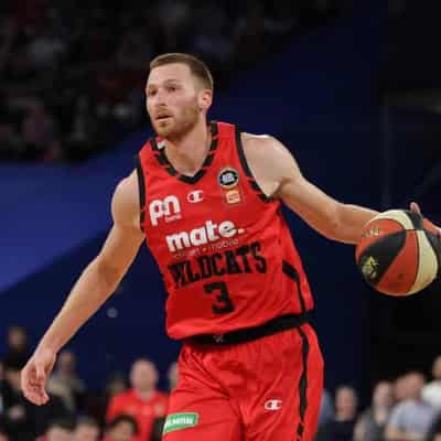 Wildcats smash inept 36ers in NBL