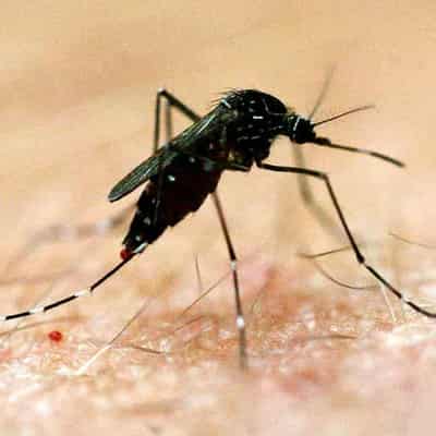 Summer's first case of mosquito-borne virus detected