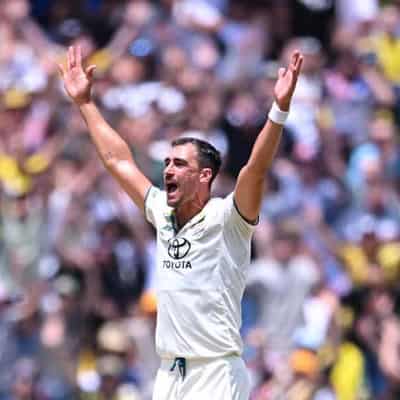 Starc's resilience puts him at the top of the tree