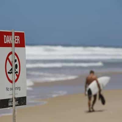 Halt surfing amid shark boom, victim's friend says