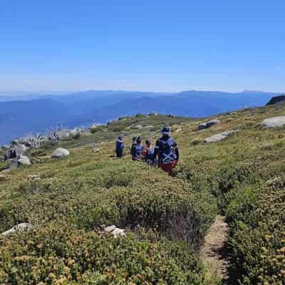 Search resumes for missing bushwalker amid heat, fire