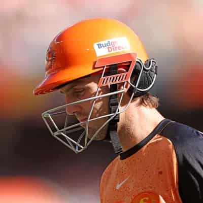 Scorchers back 'heart and soul' Mitch Marsh to blossom