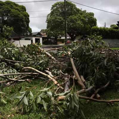 Storm declared 'natural disaster' as cyclone builds