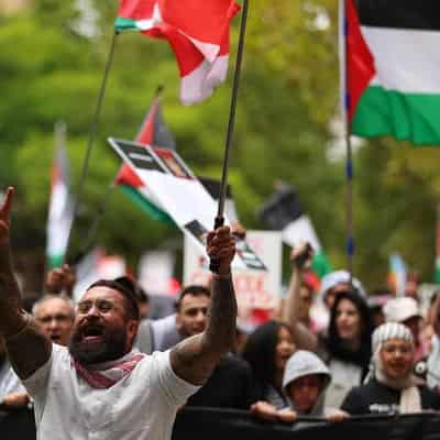 Pro-Palestinian rallies welcome long-awaited ceasefire