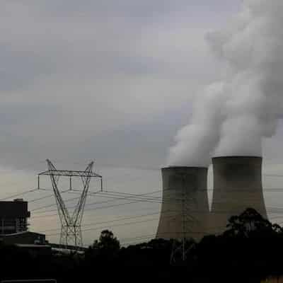 Chief scientist lights fuse on nuclear energy debate