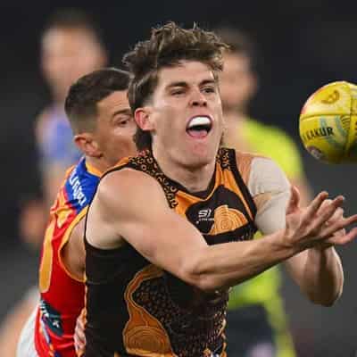 Injury-troubled Hawthorn star resumes full training