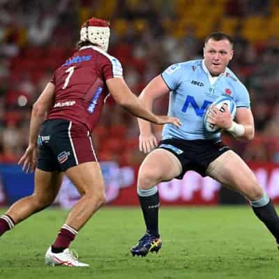 Grass greener as rebuilt Waratahs address injury curse