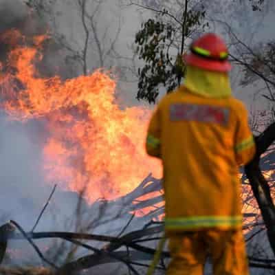 AI pioneers look to douse bushfires before they happen