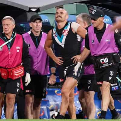 Port forward has fresh perspective after knee injury