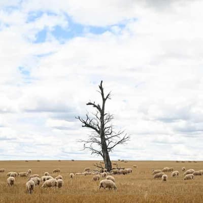 A country practice luring health workers to the bush