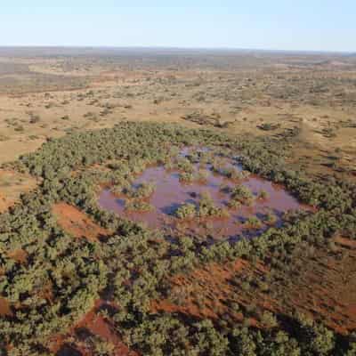 Biodiversity wins from 'high-integrity' carbon farming