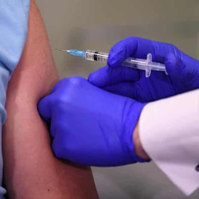 Meat and vaccine exports at risk if Trump targets GST