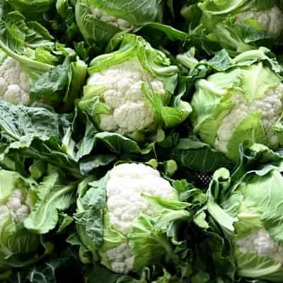 Food supply at risk as growers look to greener pastures