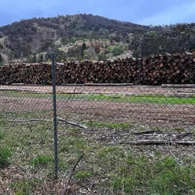 Paper mill worker lockout ends after pay deal clinched