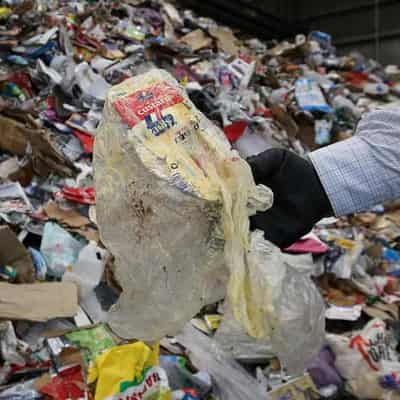 From farm to table, less food is being wasted: report