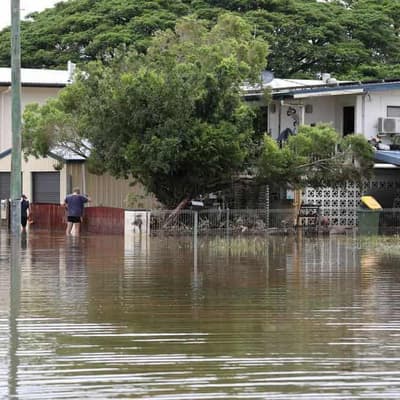 Polluter pays: Greens' enter fray on insurance costs