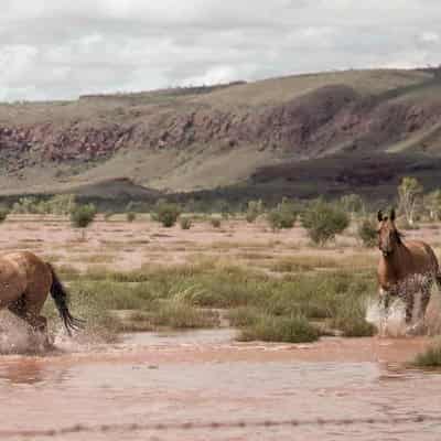 Death toll rises from disease linked with heavy rain
