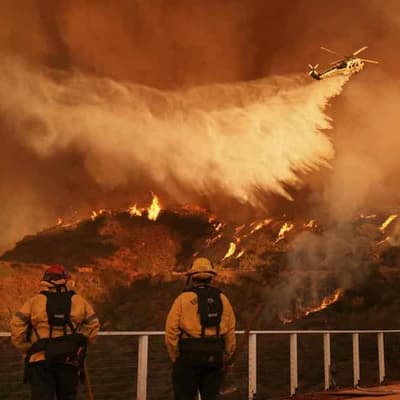 California wildfire claims get it wrong on CO2 emissions