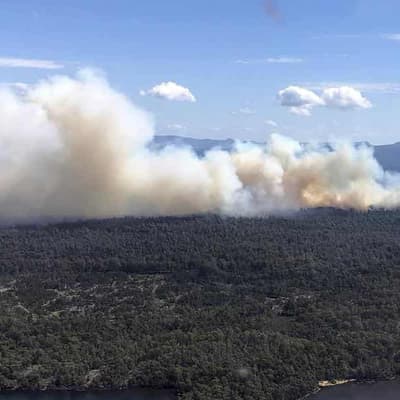 Hot winds heighten risk as bushfires rage, bans issued