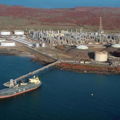 Woodside CEO laments red tape over gas project approval