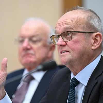 Greens call for scalps over dumping of biennale artists