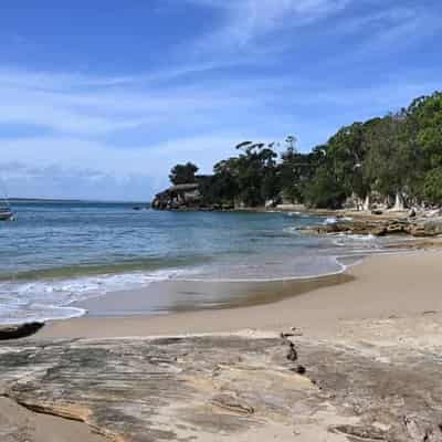 Shark attack victim airlifted to hospital