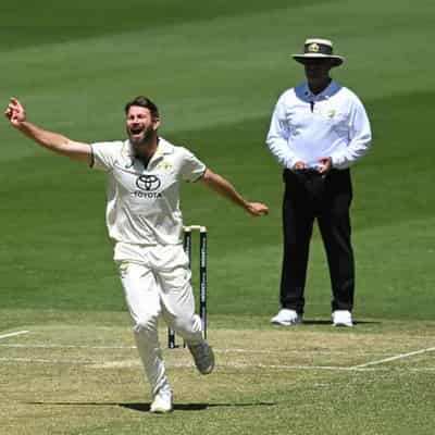 Queensland's Neser tears through Tas Shield top order