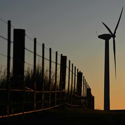 Innovation urged to hurdle green superpower roadblocks