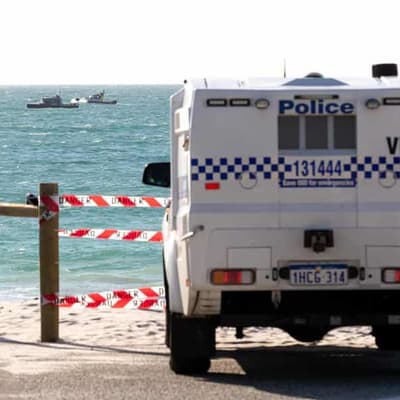 Board found, surfer feared missing after shark sighting