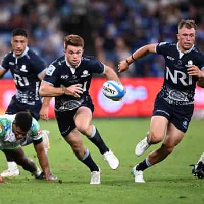 Unbeaten Waratahs claim underdog status for Reds clash