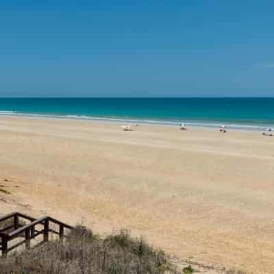 Holidaying surfer presumed dead after shark mauling
