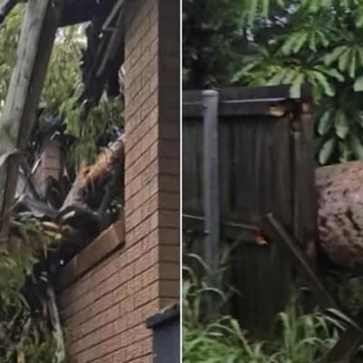 'Let me get to my kids': mum's plea in storm's wake