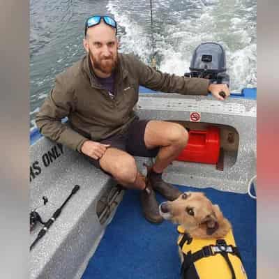 Search suspended for 'gentle giant' taken by shark