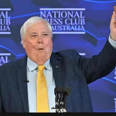 Palmer pledges big biscuits for Patriots election blitz