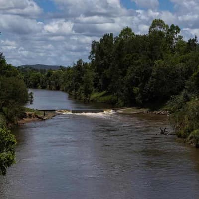 Movers muster into Gympie and other towns off the track