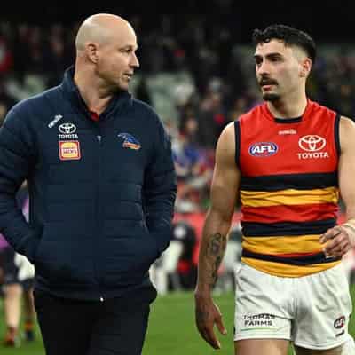 Crows winless streak at MCG irrelevant: coach Nicks