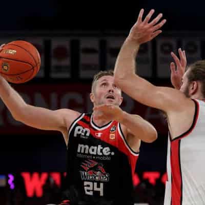Wildcats veteran Wagstaff signs on for 17th NBL season
