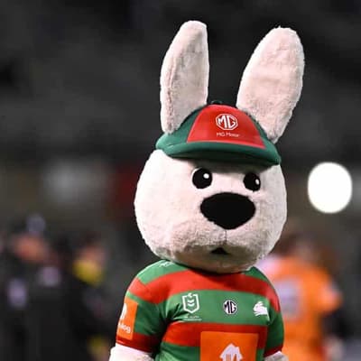 Rabbitohs bunny man sorry over child pushing incident