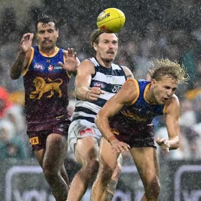 Like Cats in mud: Lions reveal plans for wet Gabba