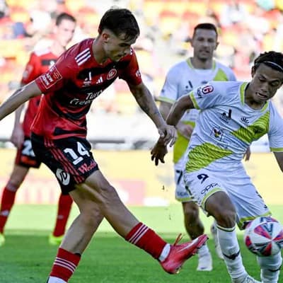 Late strike: Wanderer boosts bid for Socceroos call-up