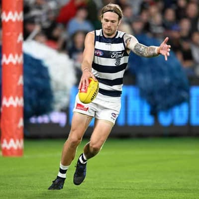 Cats hope for Stewart return, fine-tuning after losses
