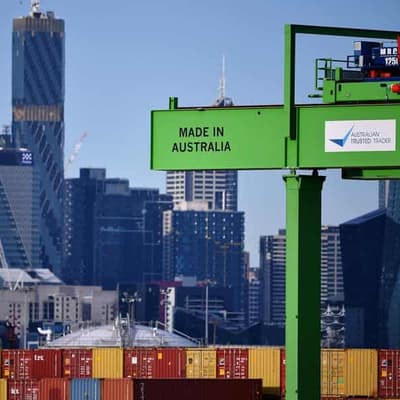 Managing Trump, tariffs looms large in bid for votes