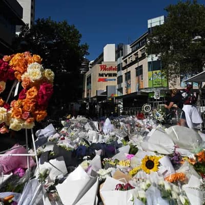 Mall stabbing inquest to cover 'insensitive’ reporting