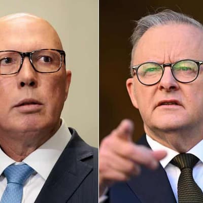 Labor gains: polling shows majority government in sight