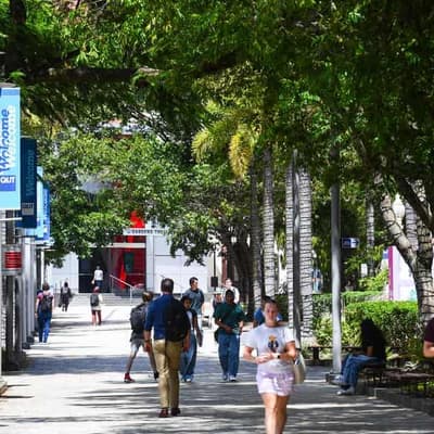 Ditch dance course, uni performing arts review advises