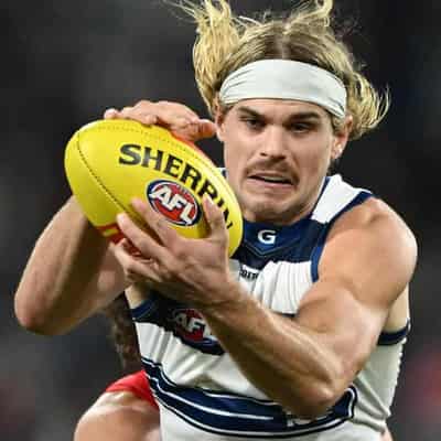 AFL fines Cats' Smith $1000 for flipping off fan