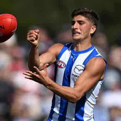 North ace Sheezel keeping the faith in fading Kangaroos