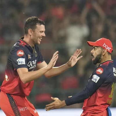 David's 50, Hazlewood's treble, in vain against Kings